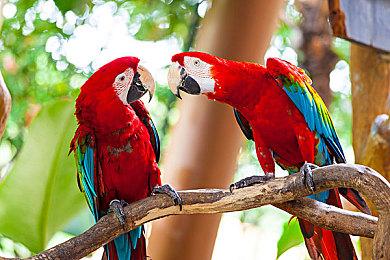 《卡牌战斗先导者DD》第二部预告 11月17日发售